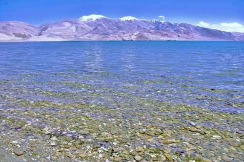 TREKKING IN LADAKH | CHANGTANG 2017